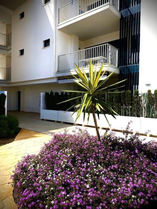 Mychoice Terraces Apartman Rota Kültér fotó